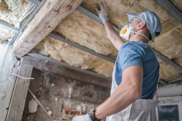 Best Energy-efficient Insulation  in Rockdale, IL