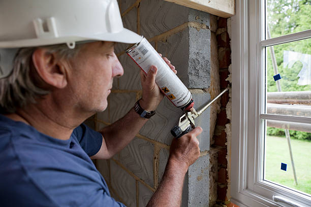 Best Cellulose Insulation  in Rockdale, IL
