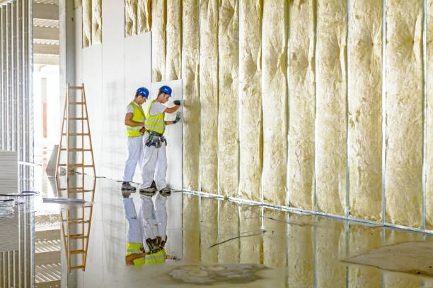 Best Fiberglass Insulation  in Rockdale, IL